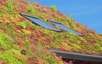 Knowlton living roof systems