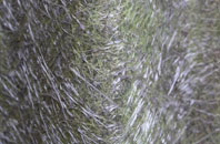 Knowlton fibreglass roof work